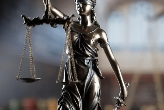 what do no win no fee solicitors do